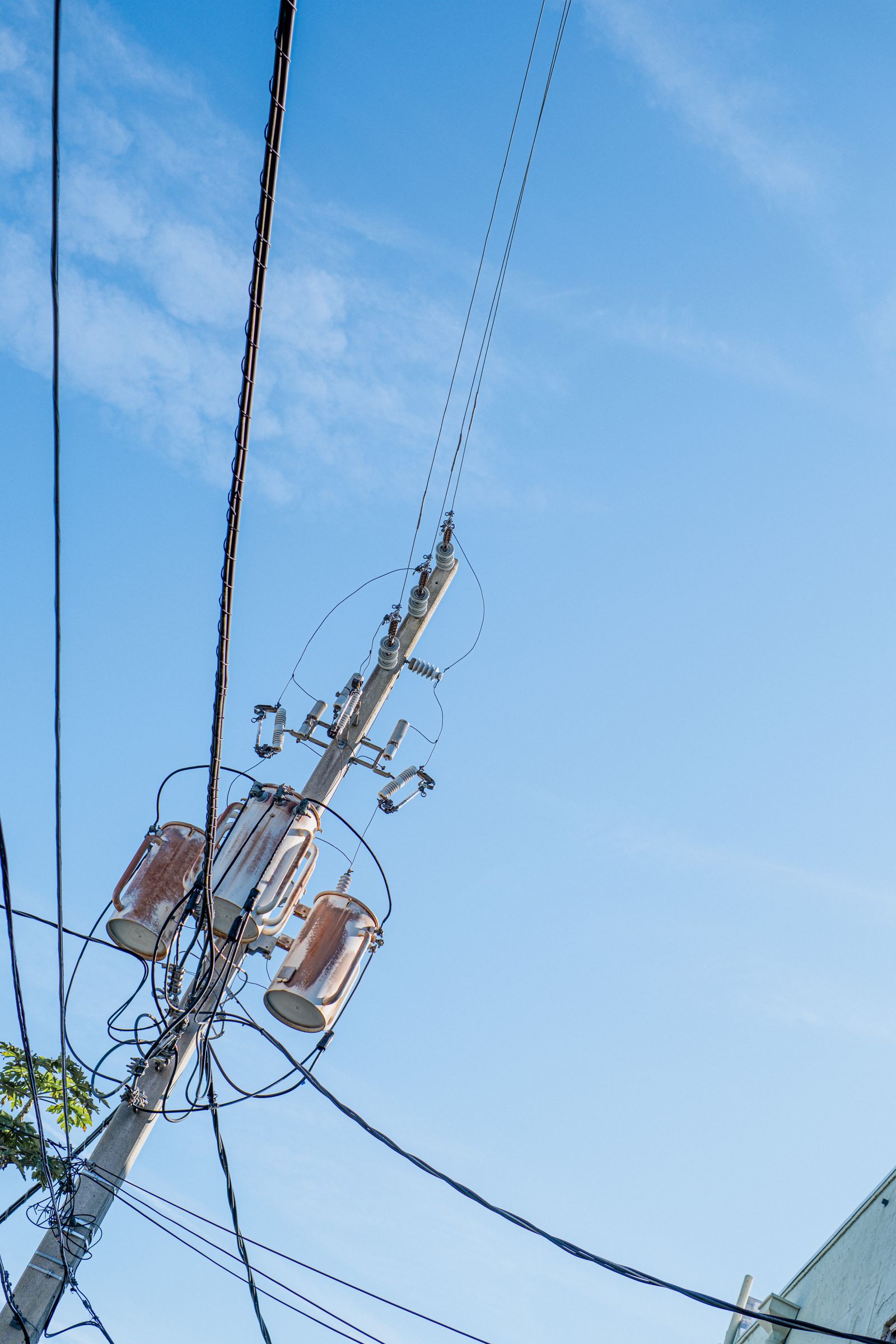 AMI smart grid networks